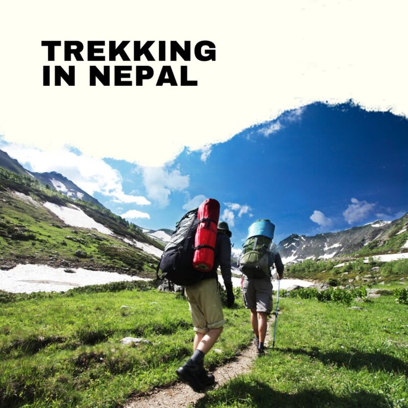 trekking trail in nepal